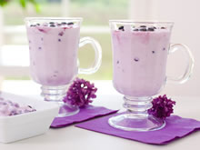 yoghurt met blauwe bessen
